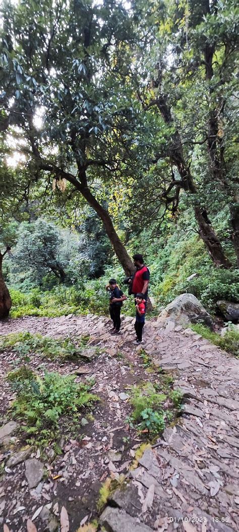 VANPRASTHA RESORTS (Dwarahat) - Resort Reviews, Photos, Rate Comparison ...