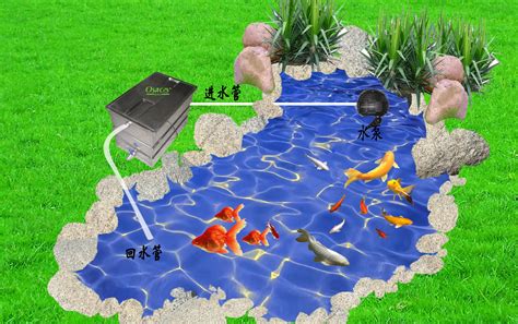 锦鲤鱼池过滤设备，鱼池过滤系统怎么正确选择？_生化
