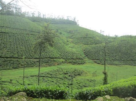 Thrissanku Hills (Idukki) - 2020 What to Know Before You Go (with ...