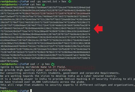 Linux for Pentester: xxd Privilege Escalation - Hacking Articles