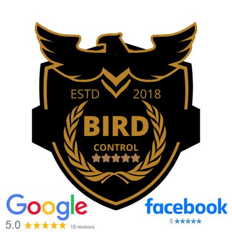 Top Bird Control Services in Ahmedabad