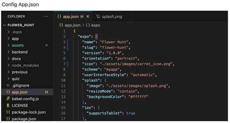Firebase with Python 的图像结果
