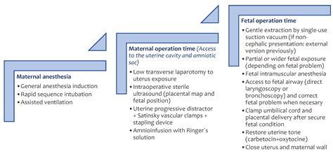 A Detailed Exploration of the Ex Utero Intrapartum Treatment Procedure ...