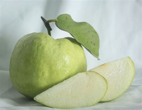 Guava " Allahabad " Exotic 40 Fruit Seeds – Floral Treasure