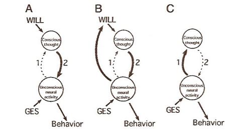 Free Will 的图像结果