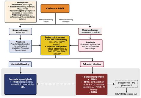Diagnosis and Management of Esophagogastric Varices