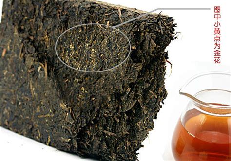 黑茶湖南安化黑茶安化黑茶2015陳年老天尖茶安華黑茶正宗散裝發酵 | 露天市集 | 全台最大的網路購物市集