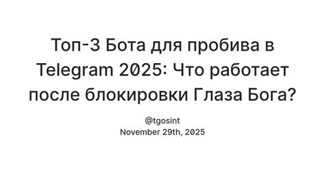 Топ-3 Бота для пробива в Telegram 2025: Что работает после блокировки ...