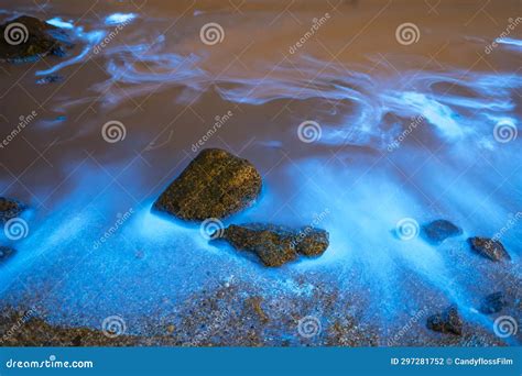 Blue Tears Noctiluca Scintillans. Stock Photo - Image of night, environment: 297281752
