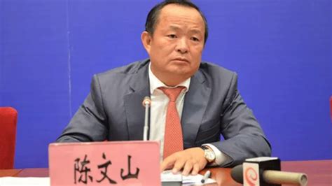 煤炭科工原党委书记、董事长王金华被“双开”