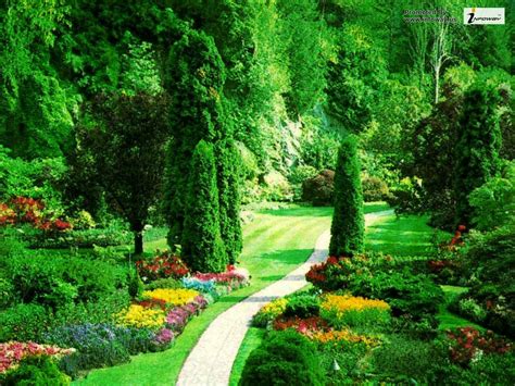 Image result for Garden Sheds at Lowe's