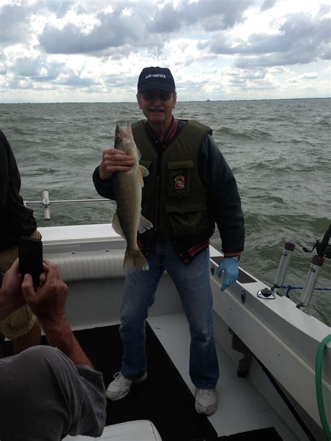 walleye | Stray Cat Fishing Charters Lake Erie / Monroe, MI