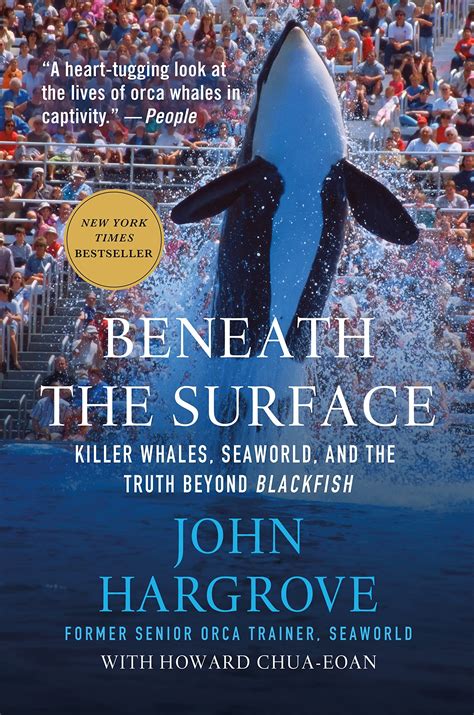 Buy Beneath the Surface: Killer Whales, SeaWorld, and the Truth Beyond ...