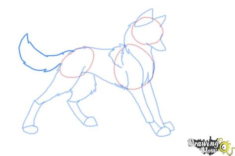 How to Draw Anime Wolves - DrawingNow