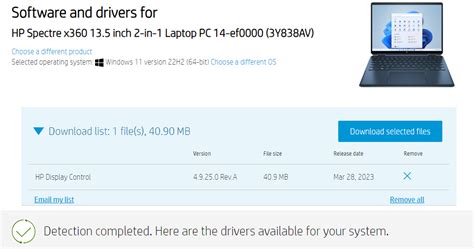 Image result for HP Display Control Setting