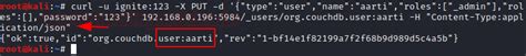 Penetration Testing on CouchDB (5984)