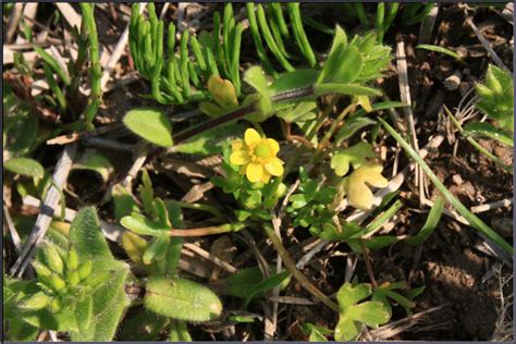 Image result for Test Spring Squareness