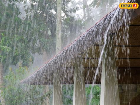 Rain Alert: తెలుగు రాష్ట్రాలపై ద్రోణి.. ఈ జిల్లాల్లో 3 రోజులు వానలే ...