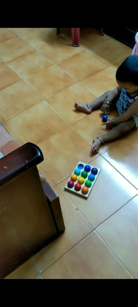Buy Ball Sorter | Coloured | Woodbeetoys.com – WoodBee Toys