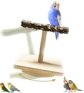 Natural Wood Bird Perch Stand Training, Intelligence Puzzle Bird ...