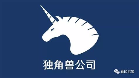 “2022年南京市独角兽、培育独角兽和瞪羚企业榜单”发布