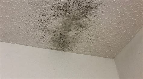 RED CARPET INN WORTHINGTON - Motel Reviews & Photos - Tripadvisor