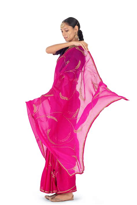 Raw Mango - Reis Rani Saree - Elahe