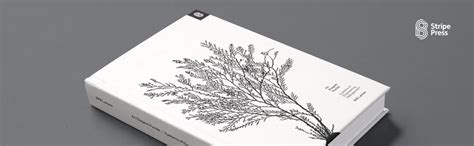 An Elegant Puzzle: Systems of Engineering Management eBook : Larson ...