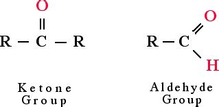 Image result for Computer Lab Manual Class 12