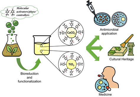 TiO2 and CaCO3 Microparticles Produced in Aqueous Extracts from ...