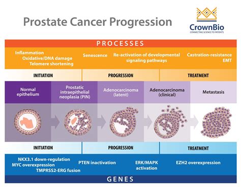 Advanced Prostate Cancer Life Expectancy 的图像结果