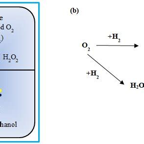 H2O2 H2O2 Reaction Type 的图像结果