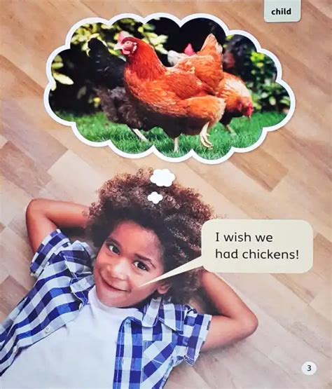 Oxford Word Sparks Getting Chickens – Books and You