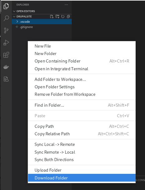 Drupal 8 Visual Studio Code 的图像结果
