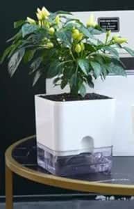 3 NosGREEN & White SATRANGI SELF Watering Planter Pot Big Size Square ...