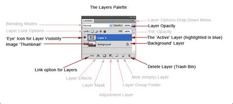 Basic Layers Tutorial 的图像结果