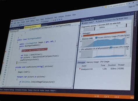 Net Debugging Visual Studio 的图像结果