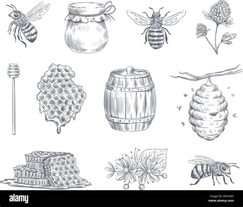 Buzzing Art: Beehive Images Drawings This Season