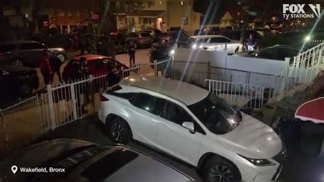 Raw: Video captures suspect's arrest in rookie NYPD cop shooting | FOX ...