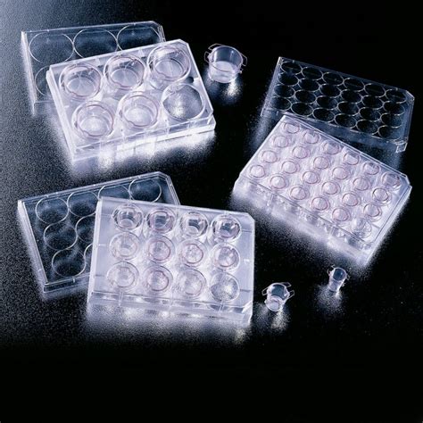 Air Liquid Interface Cell Culture | ALI In Vivo Disease Modeling | Corning