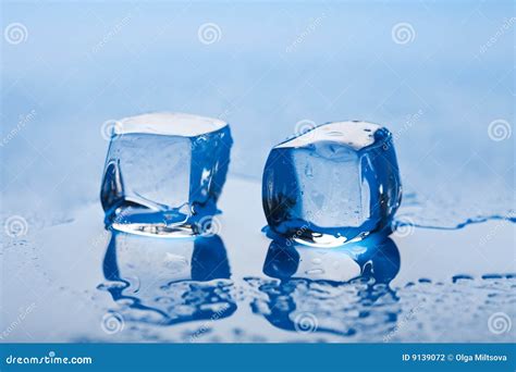 Melting ice cubes stock photo. Image of fridge, reflection - 9139072