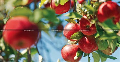 DGFT notifies Amendment in Import Policy Condition of Apples [Read ...