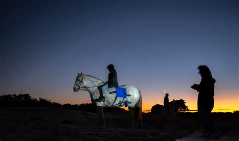 Sara Stern :: Smack Mellon