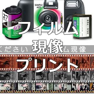 Image result for Behavior Observation Examples