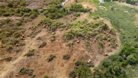 Petition · Stop the Deforestation of Hyderabad Central University ...