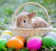 Image result for Happy Easter Bunny Eggs