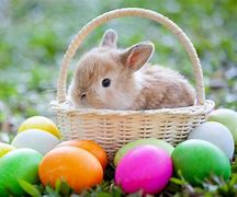 Image result for Easter Egg and a Bunny Dark