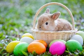 Image result for Three Bunnies of Easter