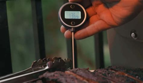 Image result for Meat thermometer Cooking Tips