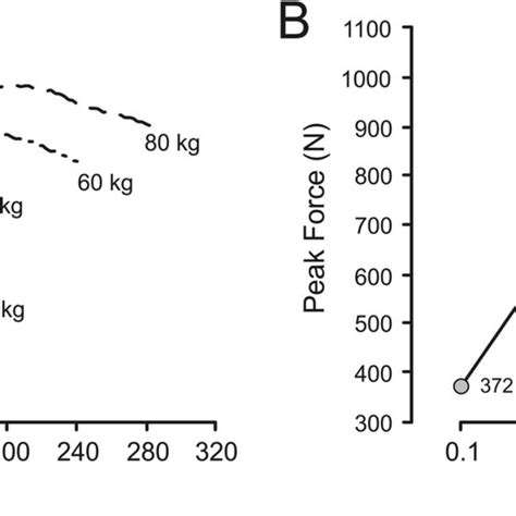 Image result for Progressive Loading Exercise